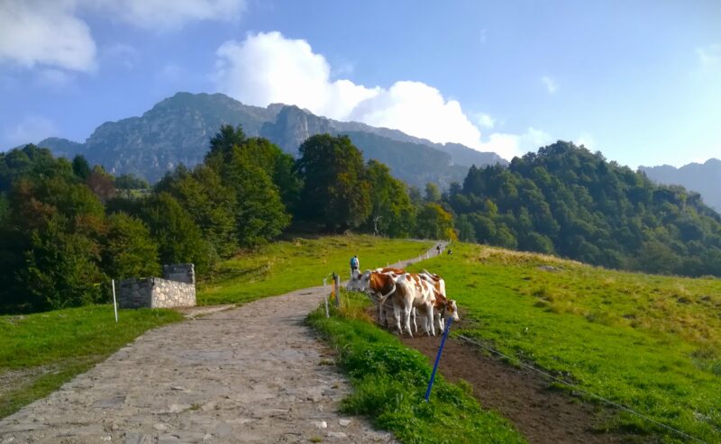 Escursione al Mt. Caplone:1976 mt.-Magasa