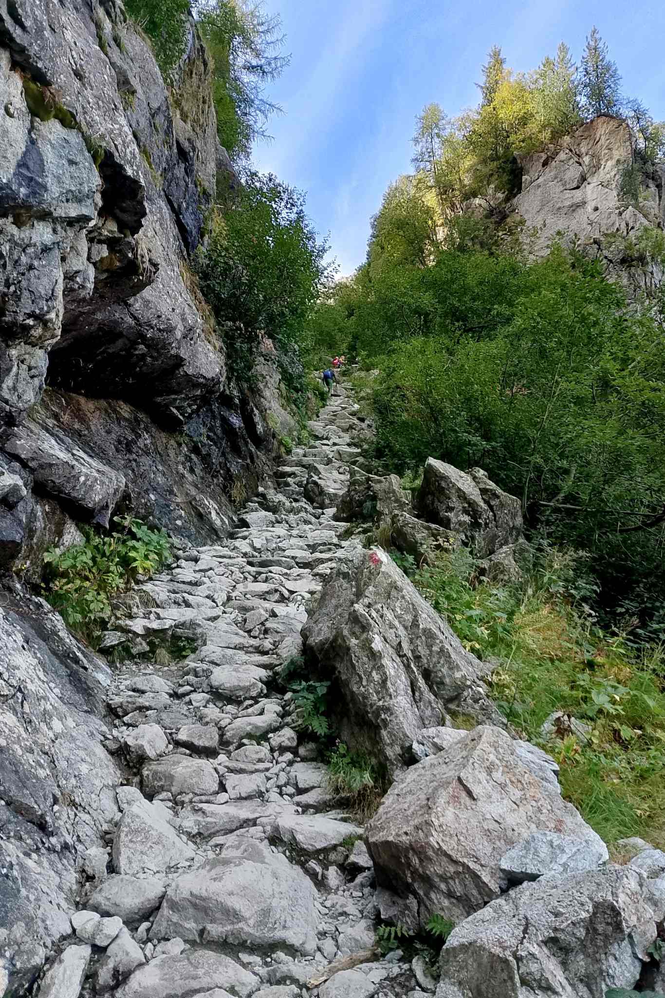 Il sentiero che sale dritto nel canale