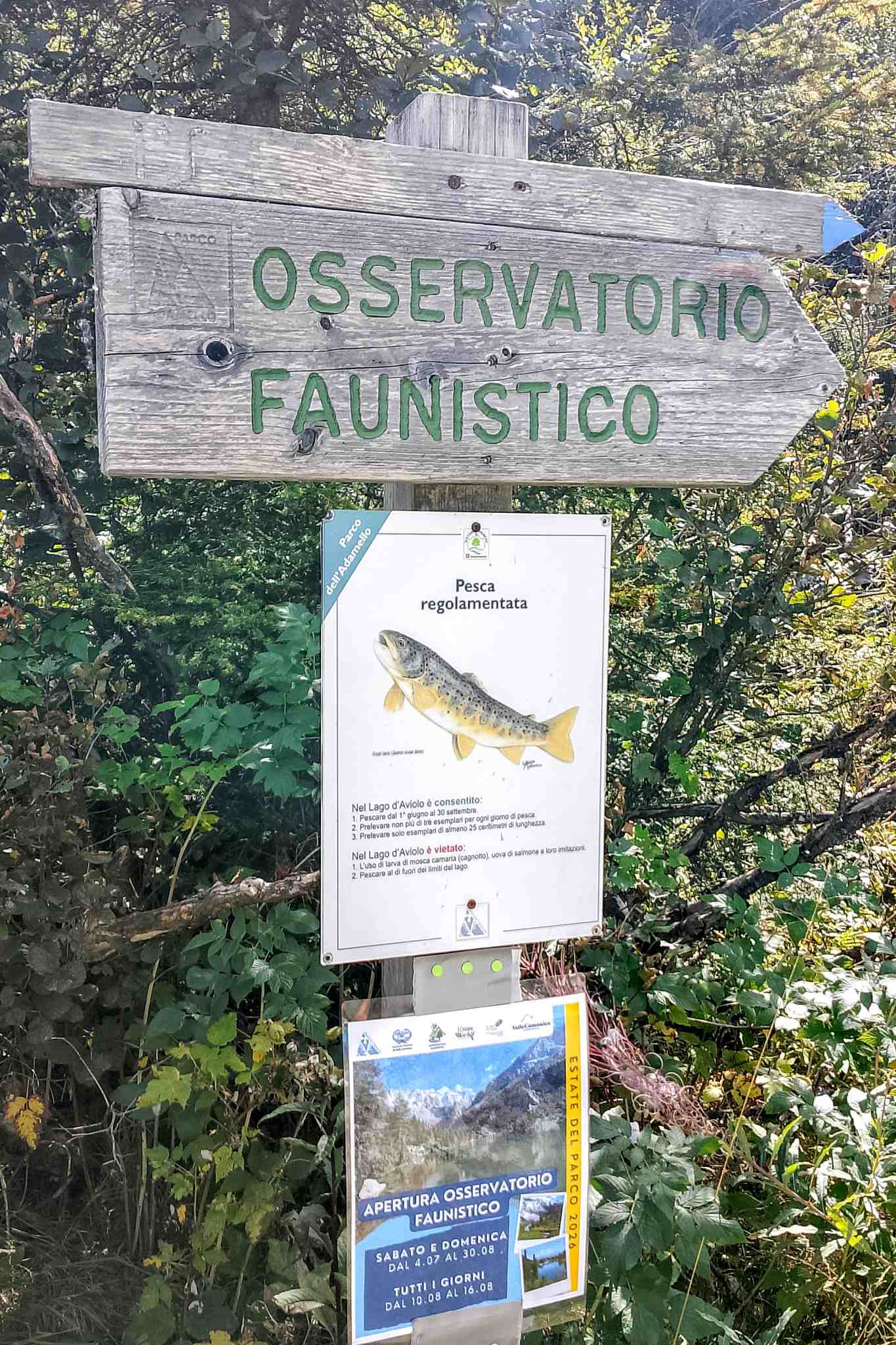 Segnaletica osservatorio faunistico all'Aviolo