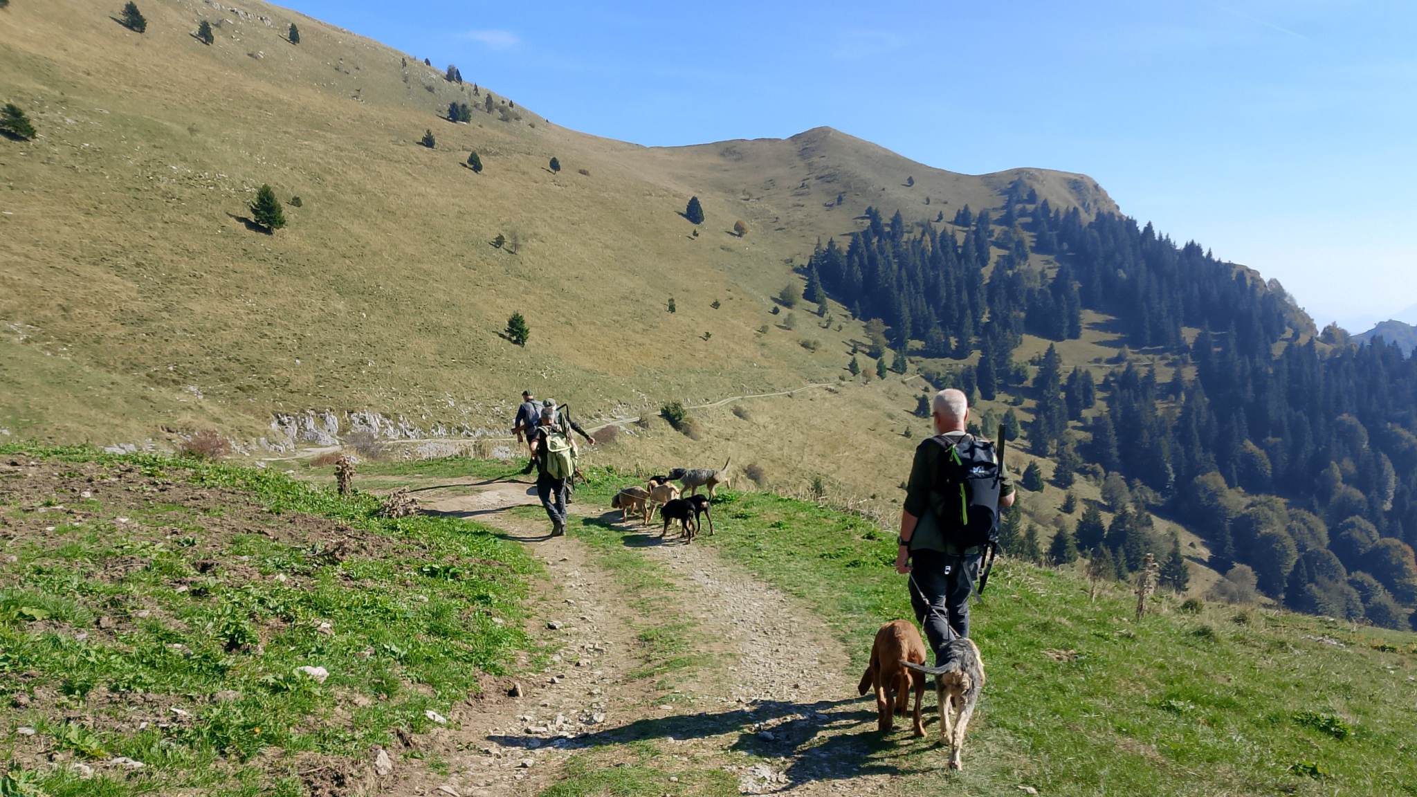cacciatori con cani da caccia