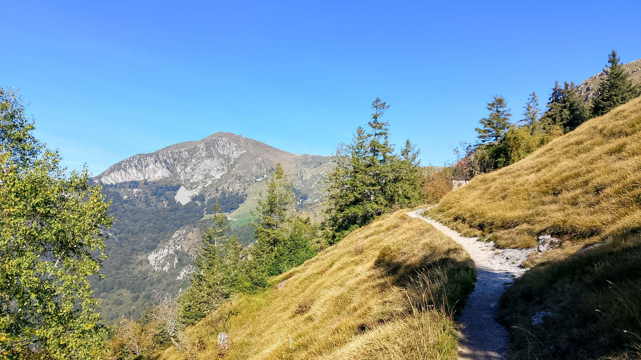 panoramica verso il lontano Mt. Guglielmo